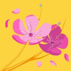 Meet your Posher, Tanaja